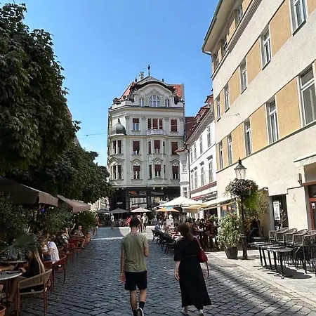 A Charismatic In The Very Center Of * Bratislava